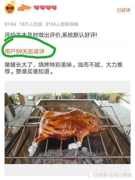 196体育app官网男子网购一只小香猪2个月后追评晒买家秀卖家一看从此不卖猪(图2)